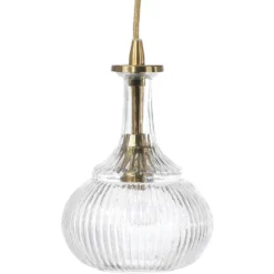 Olive Carafe 1 Light 7 Inch Clear With Brass Pendant Ceiling Light