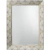 Fragment 48 X 36 Inch Light Grey & Beige Faux Horn Mirror