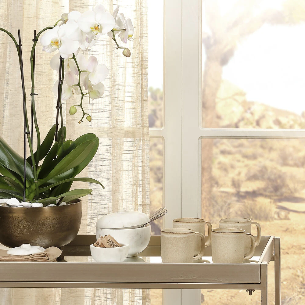 Bennett 7.25 X 6 Inch Storage Bowl With Lid, Large - Image 8