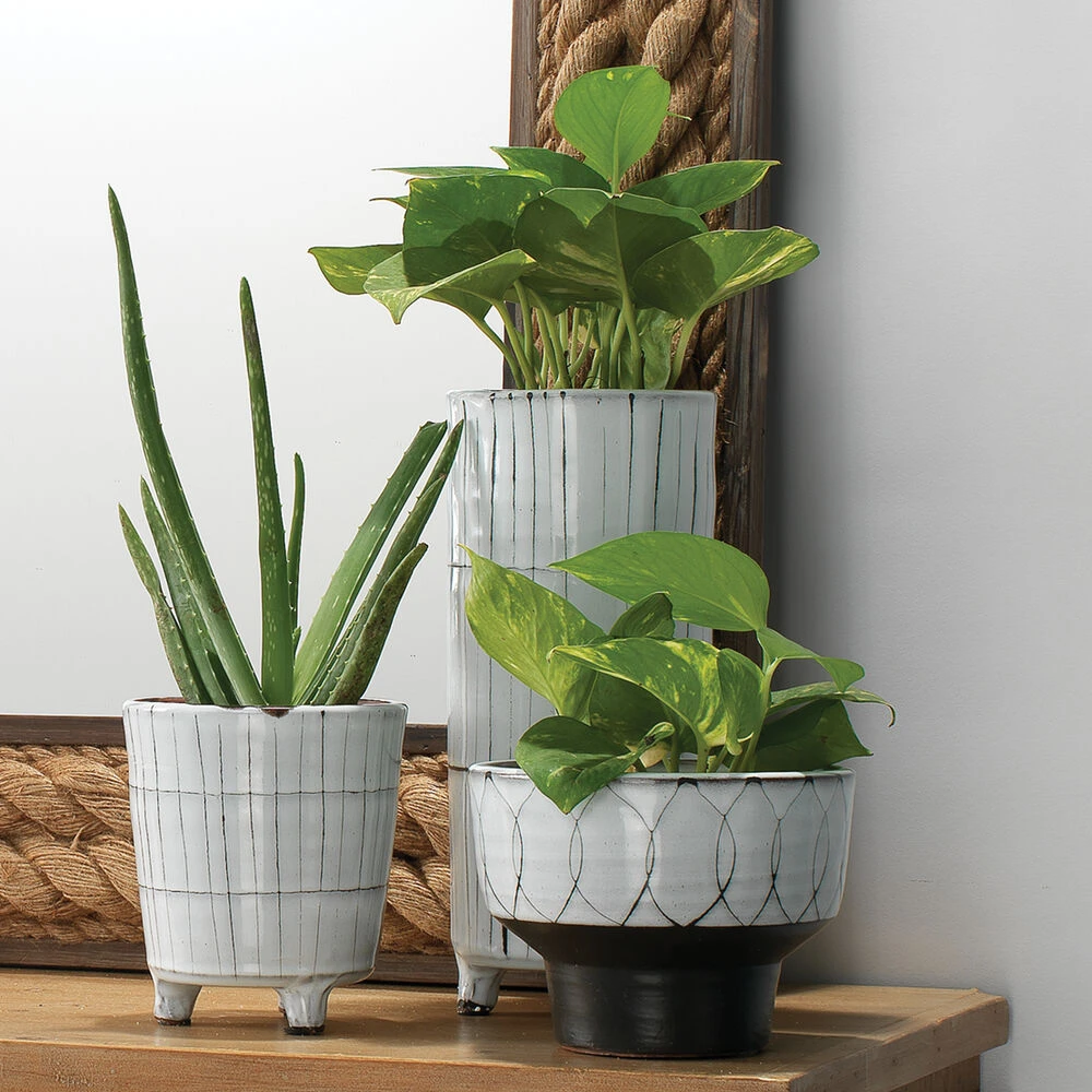 Striae 12 X 5 Inch Vessels, Set Of 3 - Image 2