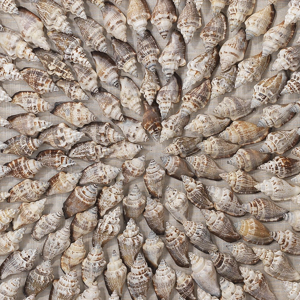 Riviera Off White & Brown Framed Wall Art - Image 4